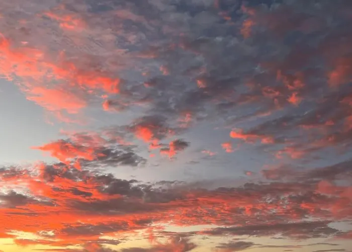 Bianca * קיאו סלבאחה